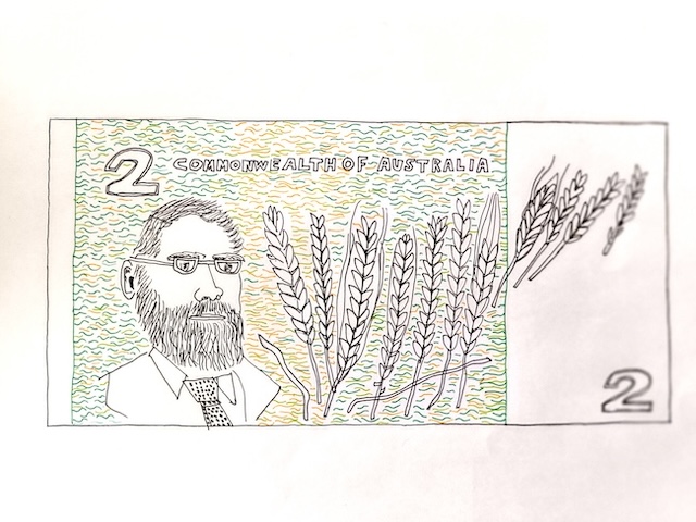 Wheat on Australian banknote / Illustration by Andy Fuller